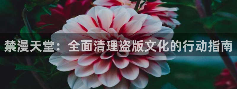 omofun纯净无广告版：禁漫天堂：全面清理盗版文化的行动指南