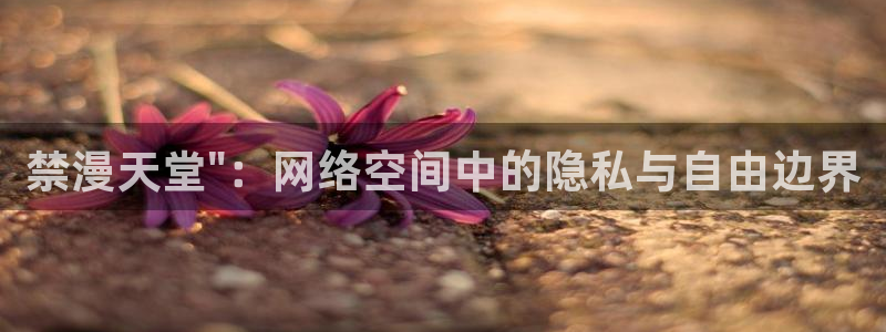 omofun官方下载：禁漫天堂\