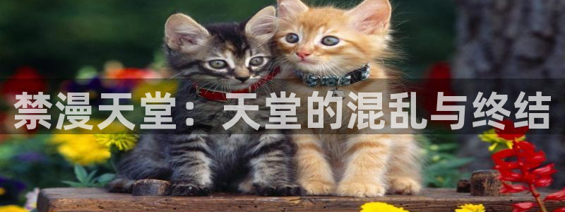 omofun官方：禁漫天堂：天堂的混乱与终结