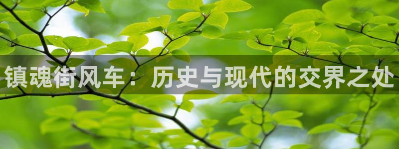 omofun动漫一个：镇魂街风车：历史与现代的交界之处