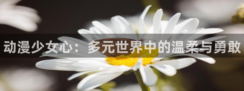 新omofun：动漫少女心：多元世界中的温柔与勇敢