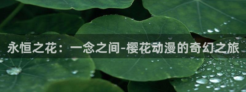 omofun\\：永恒之花：一念之间-樱花动漫的奇幻之旅