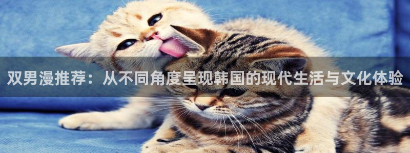 omofun动漫官网正版下载：双男漫推荐：从不同角度呈现韩国的现代生活与文化体验