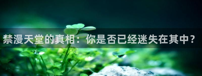 漫画之家入口：禁漫天堂的真相：你是否已经迷失在其中？