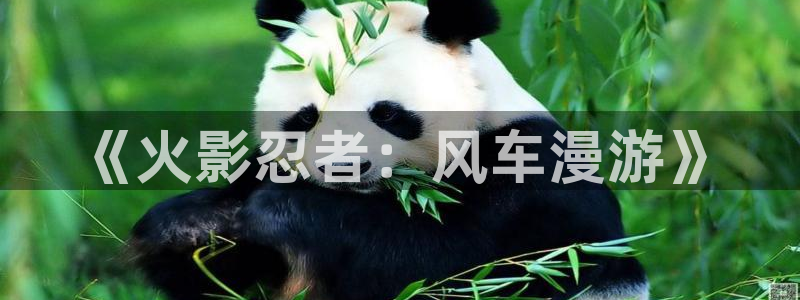 omofun下载：《火影忍者：风车漫游》